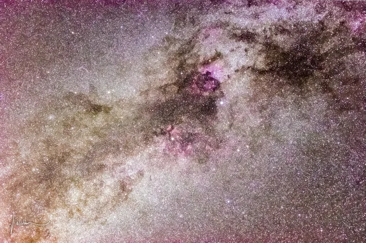 A dense Milky Way star field in Cygnus with dark dust lanes and the reddish North America Nebula.