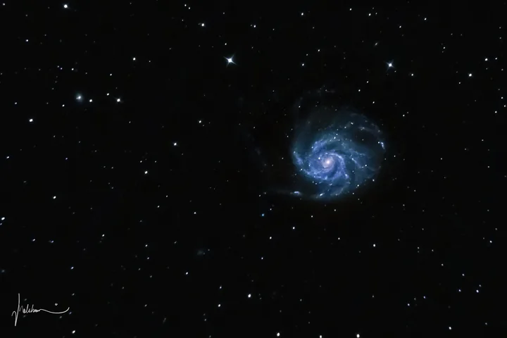 The face-on spiral Pinwheel Galaxy, small and blue, in a field of scattered stars.