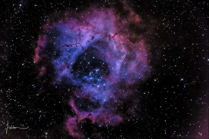 The Rosette Nebula, a ring of blue and magenta gas around a dark centre holding a cluster of stars.