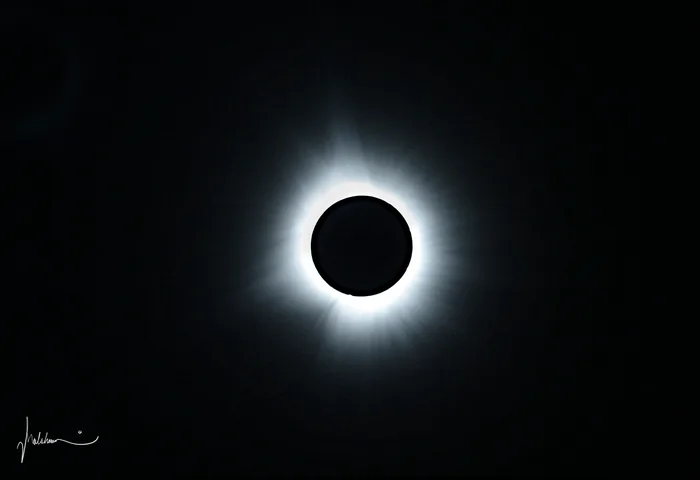 The black disc of the Moon surrounded by the white glow of the solar corona.